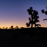 Review photo of Sheep Pass Group Campground — Joshua Tree National Park by Corey B., June 26, 2022