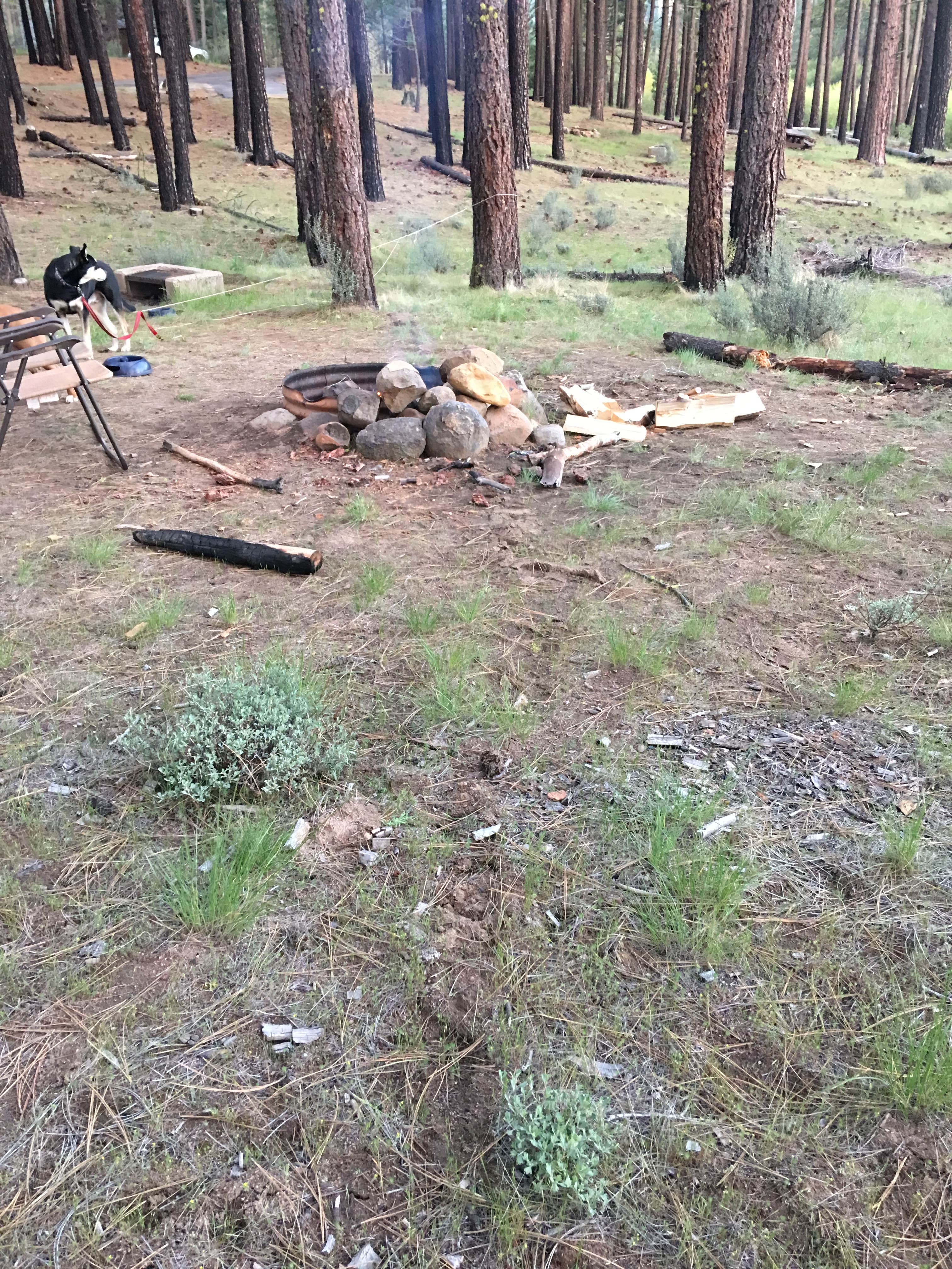 Camper-submitted photo at Woods Lake Campground near Placerville, CO