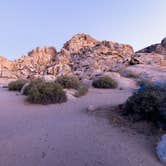 Review photo of Sheep Pass Group Campground — Joshua Tree National Park by Corey B., June 26, 2022