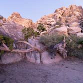 Review photo of Sheep Pass Group Campground — Joshua Tree National Park by Corey B., June 26, 2022