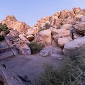 Review photo of Sheep Pass Group Campground — Joshua Tree National Park by Corey B., June 26, 2022