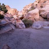 Review photo of Sheep Pass Group Campground — Joshua Tree National Park by Corey B., June 26, 2022