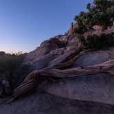 Review photo of Sheep Pass Group Campground — Joshua Tree National Park by Corey B., June 26, 2022