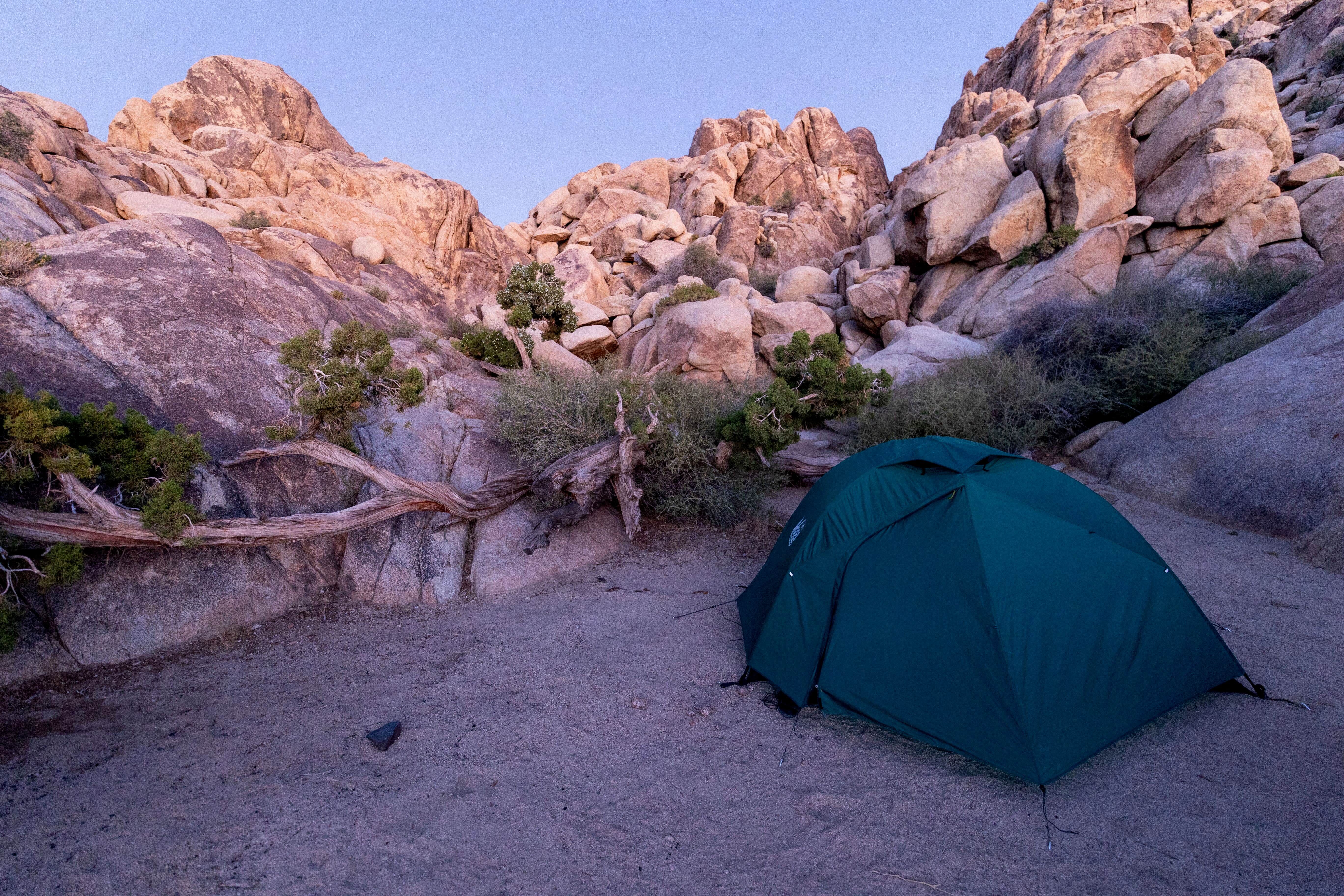 Corey B.'s photo at Sheep Pass Group Campground — Joshua Tree National Park near Indio, CA