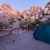 Review photo of Sheep Pass Group Campground — Joshua Tree National Park by Corey B., June 26, 2022