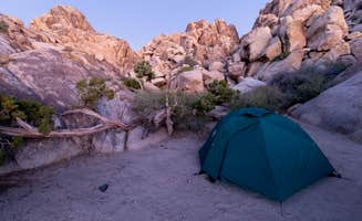 Corey B.'s photo at Sheep Pass Group Campground — Joshua Tree National Park near Indio, CA