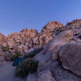 Review photo of Sheep Pass Group Campground — Joshua Tree National Park by Corey B., June 26, 2022