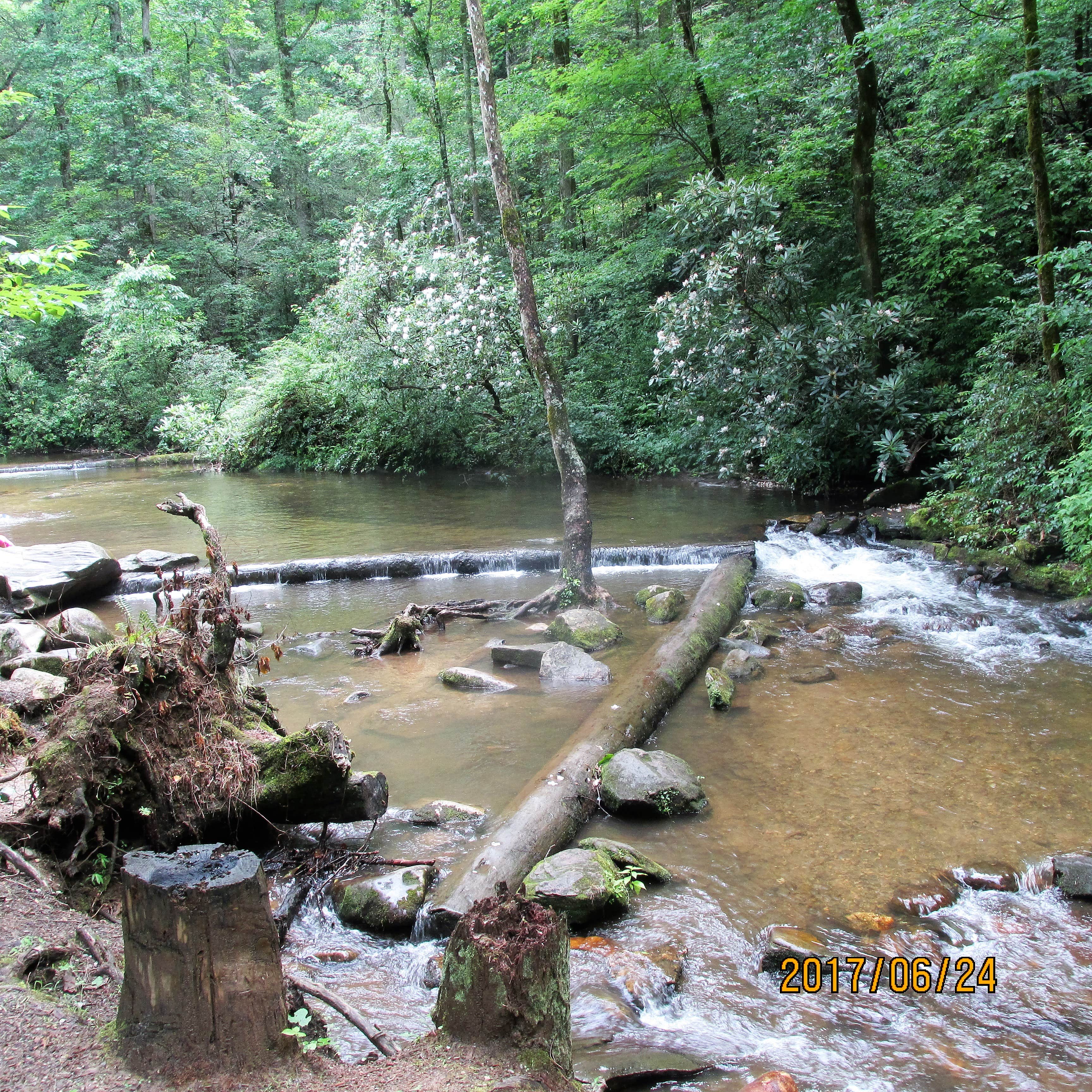 Camper-submitted photo at Unicoi State Park & Lodge near Clayton, GA