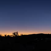 Review photo of Sheep Pass Group Campground — Joshua Tree National Park by Corey B., June 26, 2022