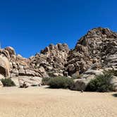 Review photo of Sheep Pass Group Campground — Joshua Tree National Park by Corey B., June 26, 2022