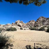 Review photo of Sheep Pass Group Campground — Joshua Tree National Park by Corey B., June 26, 2022