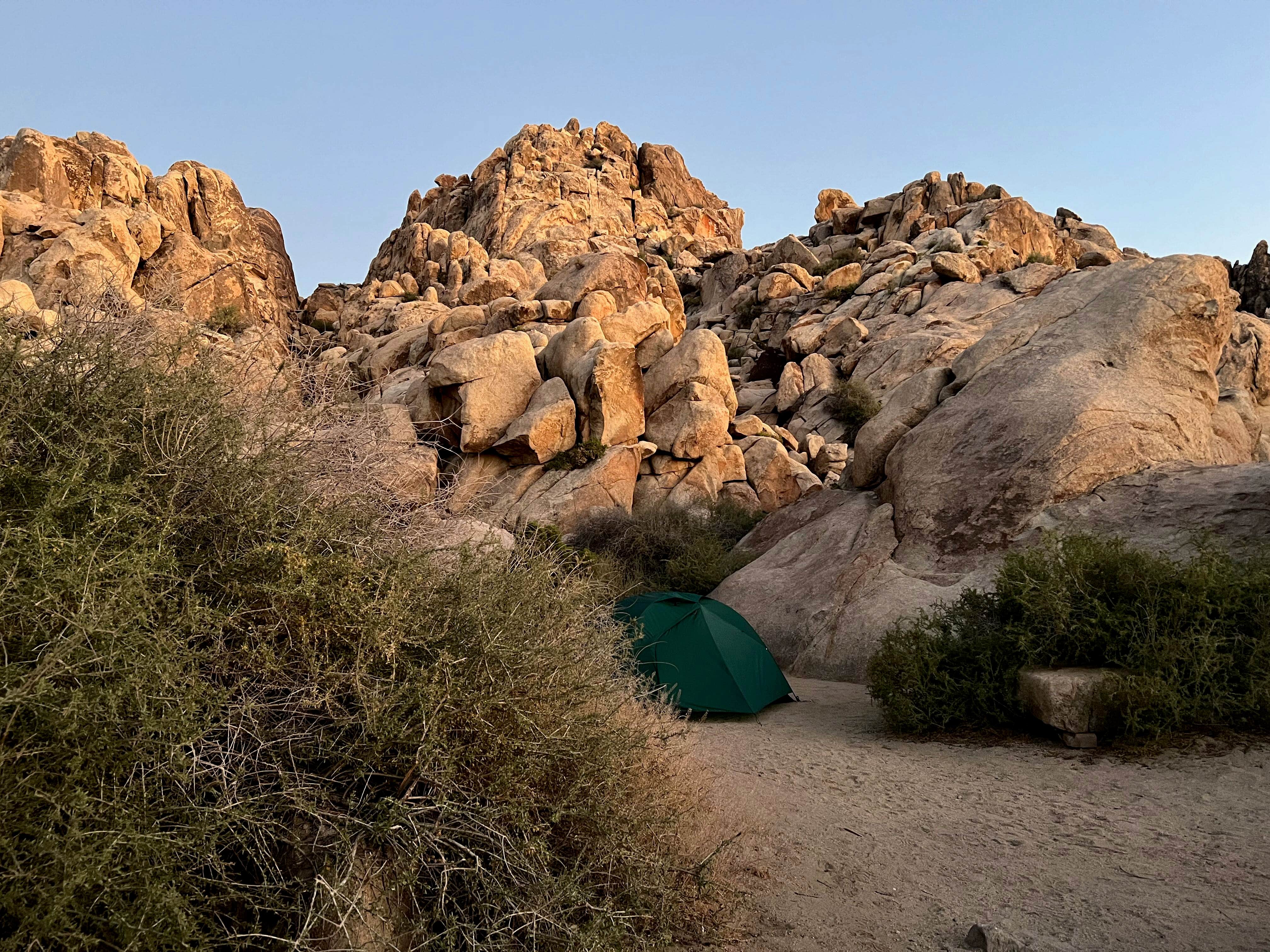 Corey B.'s photo at Sheep Pass Group Campground — Joshua Tree National Park near Joshua Tree National Park