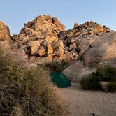 Review photo of Sheep Pass Group Campground — Joshua Tree National Park by Corey B., June 26, 2022