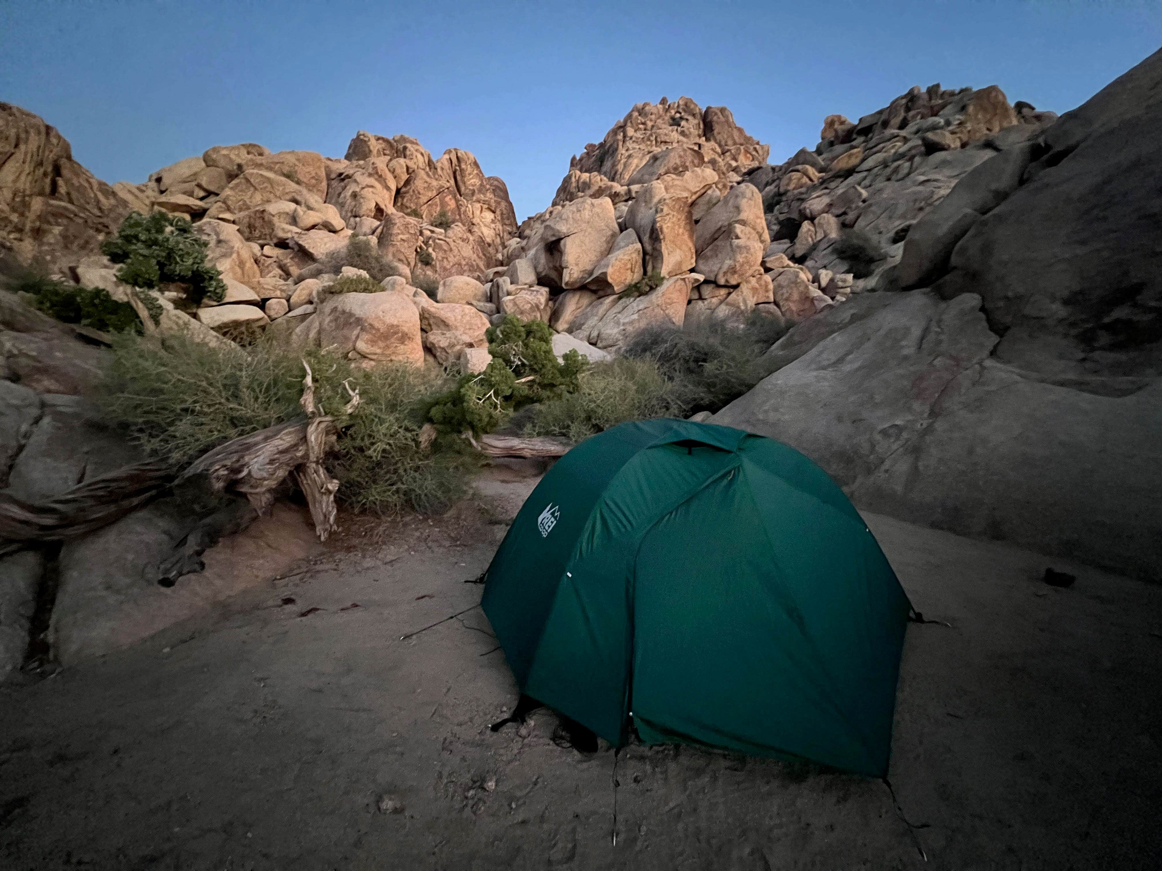 Corey B.'s photo at Sheep Pass Group Campground — Joshua Tree National Park near Joshua Tree National Park