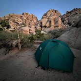 Review photo of Sheep Pass Group Campground — Joshua Tree National Park by Corey B., June 26, 2022