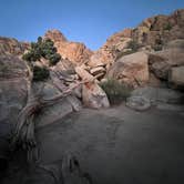 Review photo of Sheep Pass Group Campground — Joshua Tree National Park by Corey B., June 26, 2022