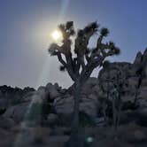 Review photo of Sheep Pass Group Campground — Joshua Tree National Park by Corey B., June 26, 2022