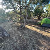 Review photo of Desert View Campground — Grand Canyon National Park by Corey B., June 26, 2022