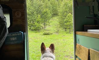 Sammo Y.'s photo of camping with pets at Lowland Campground near Boulder, MT