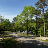 Review photo of Lake Poinsett State Park Campground by Napunani , June 26, 2022