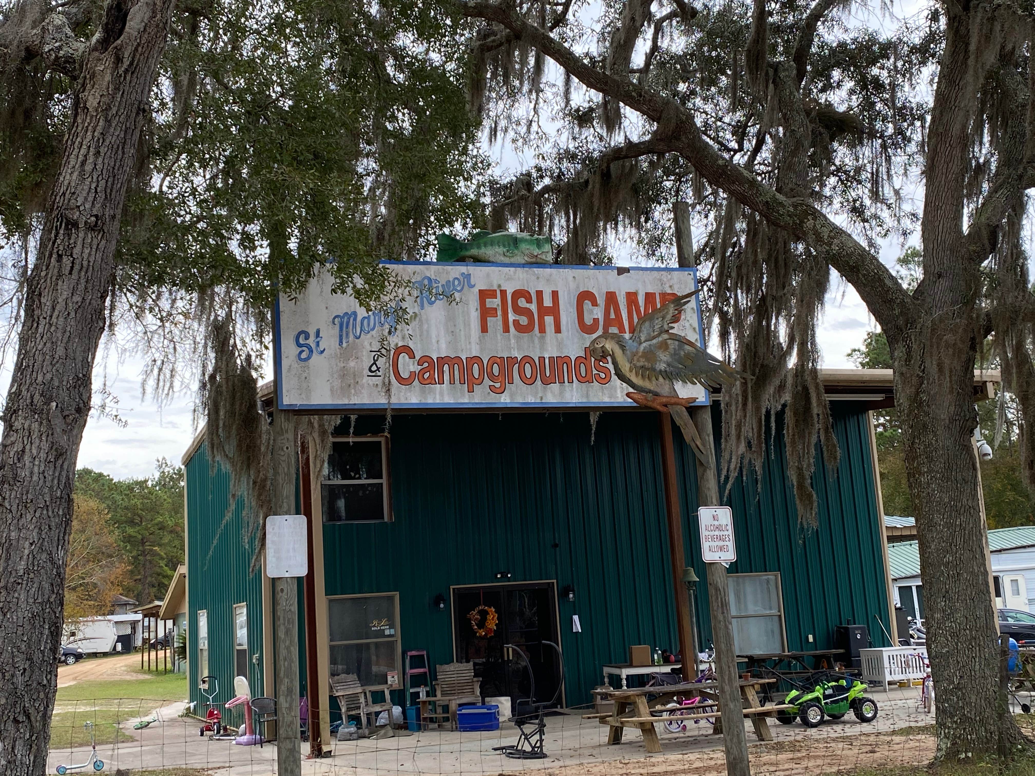 Camper submitted image from St Mary's River Fish Camp - 3