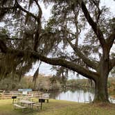 Review photo of St Mary's River Fish Camp by Stuart K., June 26, 2022