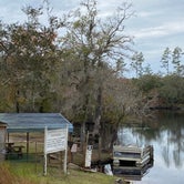 Review photo of St Mary's River Fish Camp by Stuart K., June 26, 2022