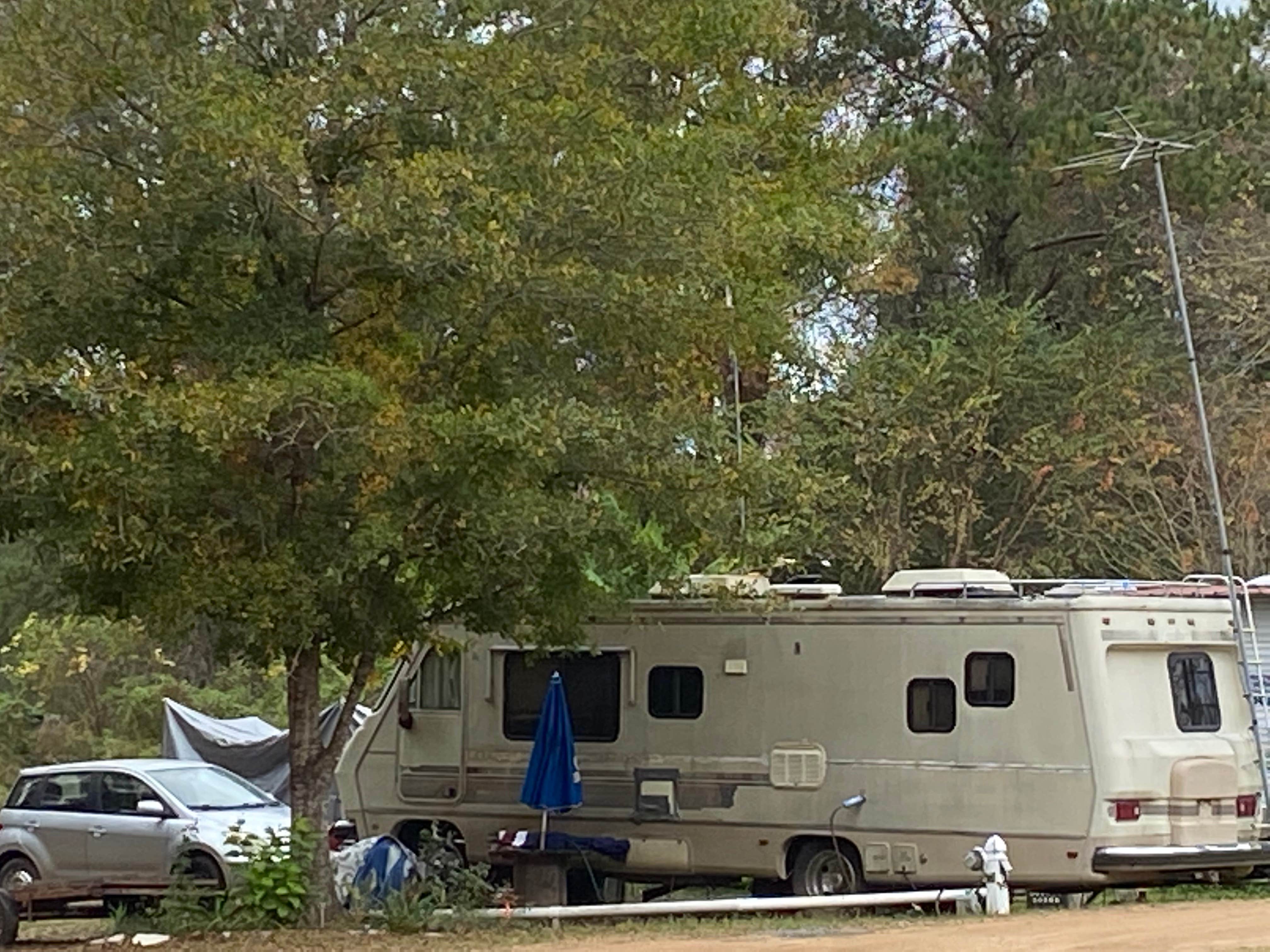 Stuart K.'s photo at St Mary's River Fish Camp near Folkston, GA