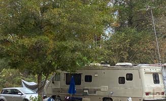 Stuart K.'s photo at St Mary's River Fish Camp near Callahan, FL