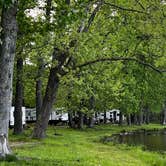 Review photo of Lake Catherine State Park Campground by Napunani , June 26, 2022