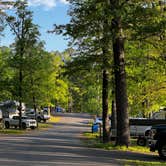 Review photo of Lake Catherine State Park Campground by Napunani , June 26, 2022