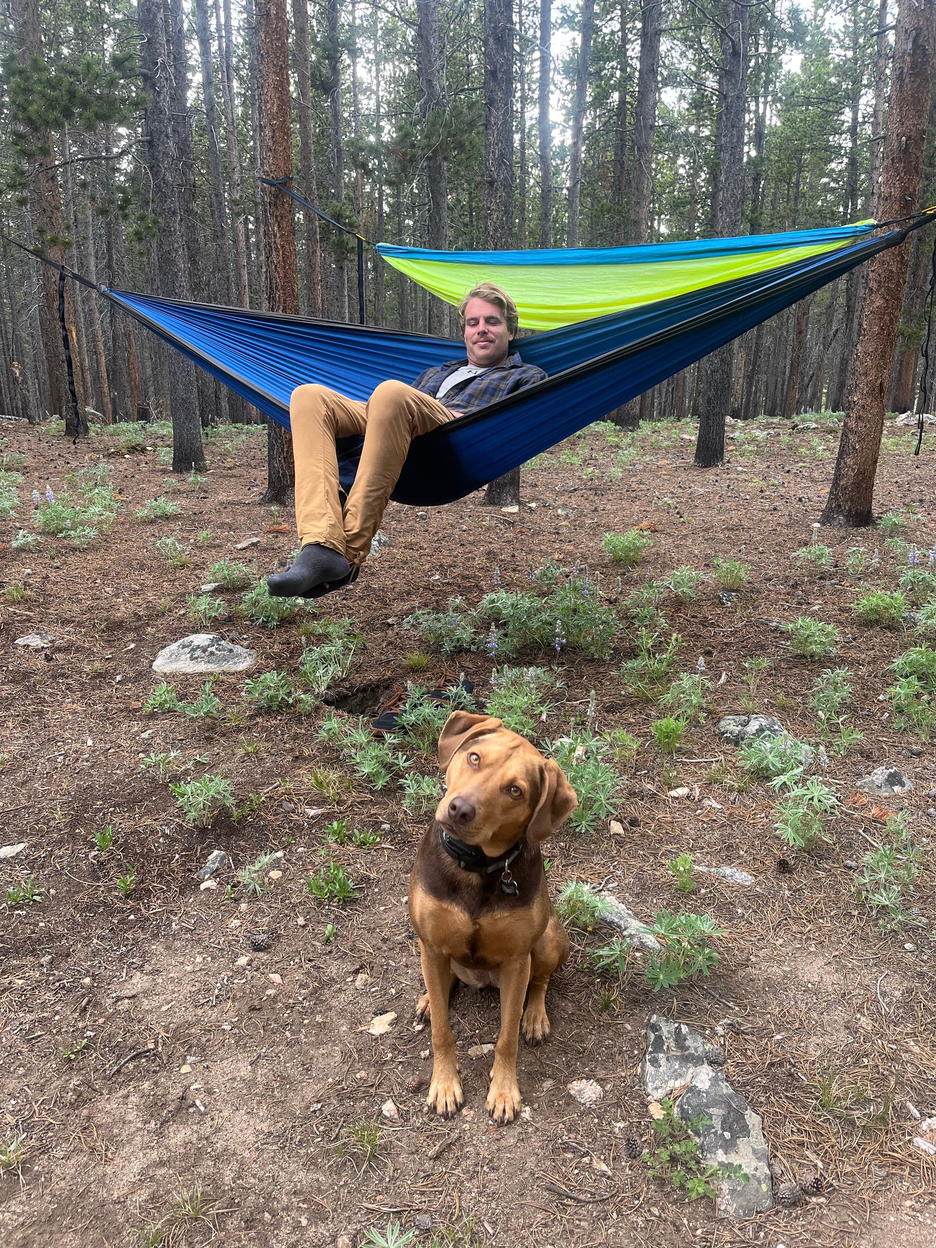 katie's photo of camping with pets at Circle Park Campground near Wolf, WY