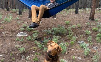 katie's photo of camping with pets at Circle Park Campground near Bighorn Canyon National Recreation Area