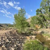 Review photo of Twin Hollows Canyon by Christie , June 26, 2022