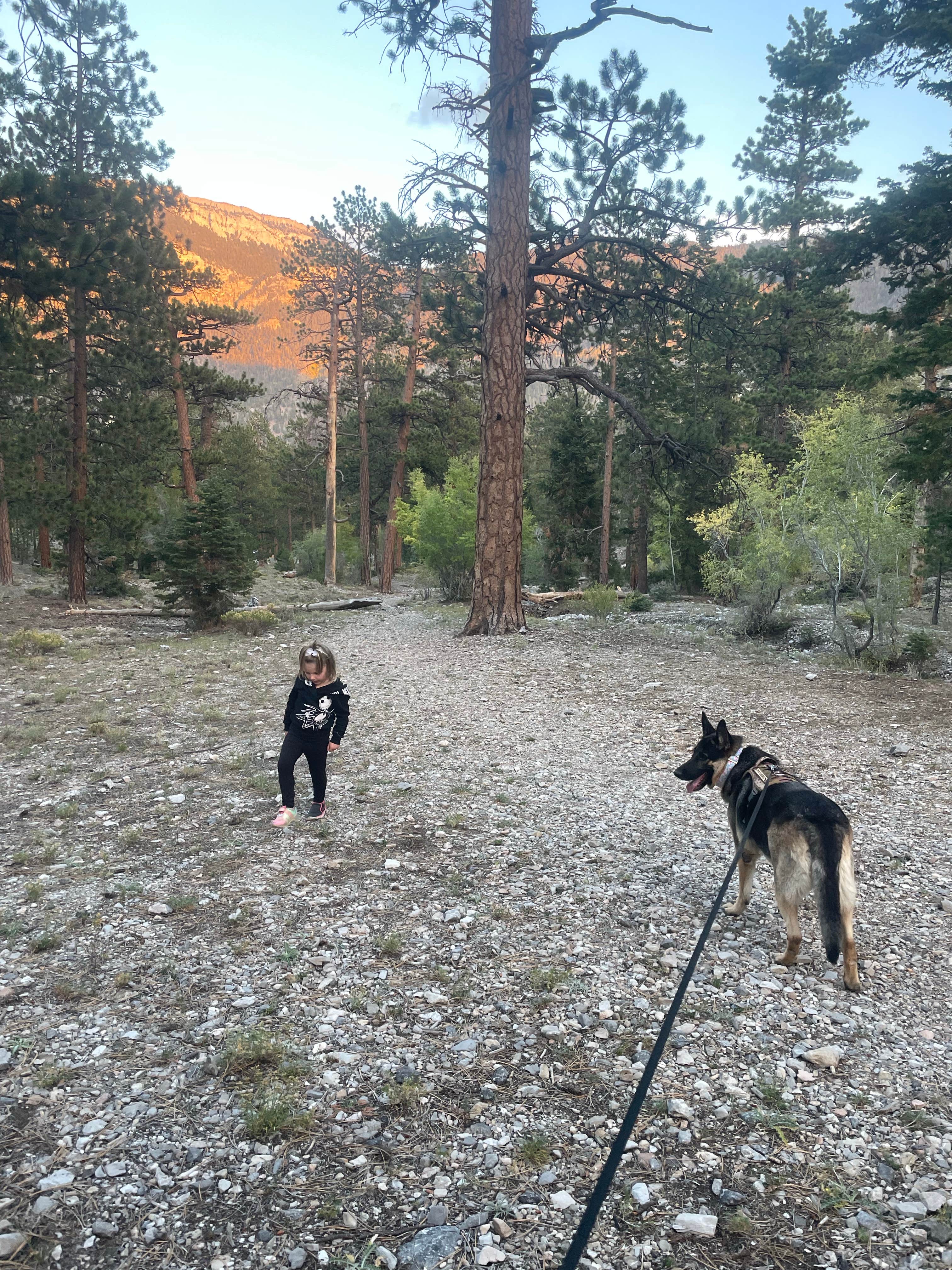Christie's photo of camping with pets at McWilliams Campground in Nevada