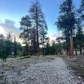 Review photo of McWilliams Campground by Christie , June 26, 2022