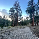 Review photo of McWilliams Campground by Christie , June 26, 2022