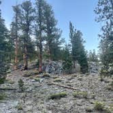 Review photo of McWilliams Campground by Christie , June 26, 2022