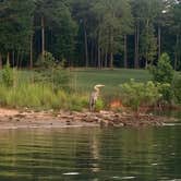 Review photo of Richard B Russell State Park Campground by Jennifer K., June 26, 2022