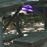 Review photo of Richard B Russell State Park Campground by Jennifer K., June 26, 2022