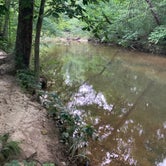 Review photo of Hawn State Park Campground by Nichole G., June 26, 2022