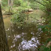 Review photo of Hawn State Park Campground by Nichole G., June 26, 2022