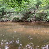 Review photo of Hawn State Park Campground by Nichole G., June 26, 2022