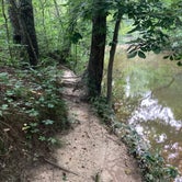 Review photo of Hawn State Park Campground by Nichole G., June 26, 2022