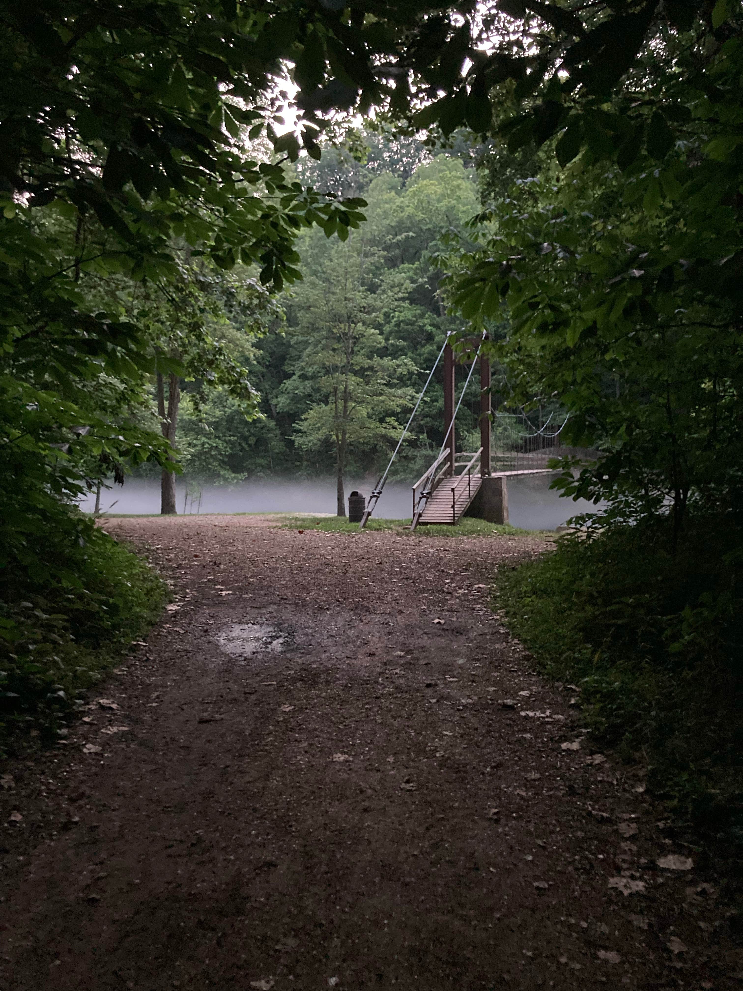 Camper submitted image from Maramec Spring Park - 3