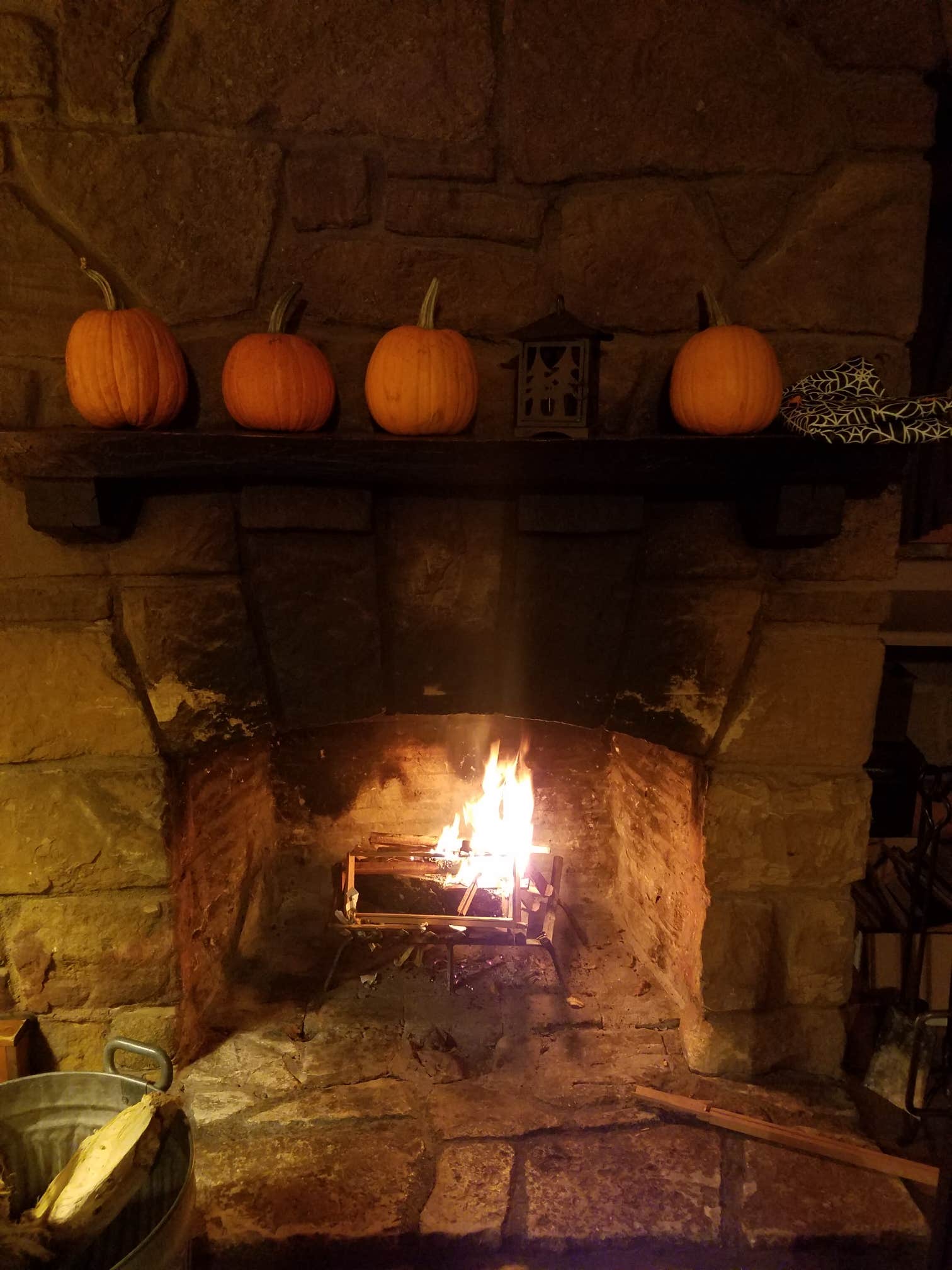 Camper submitted image from Pine Lake State Park Campground - 3