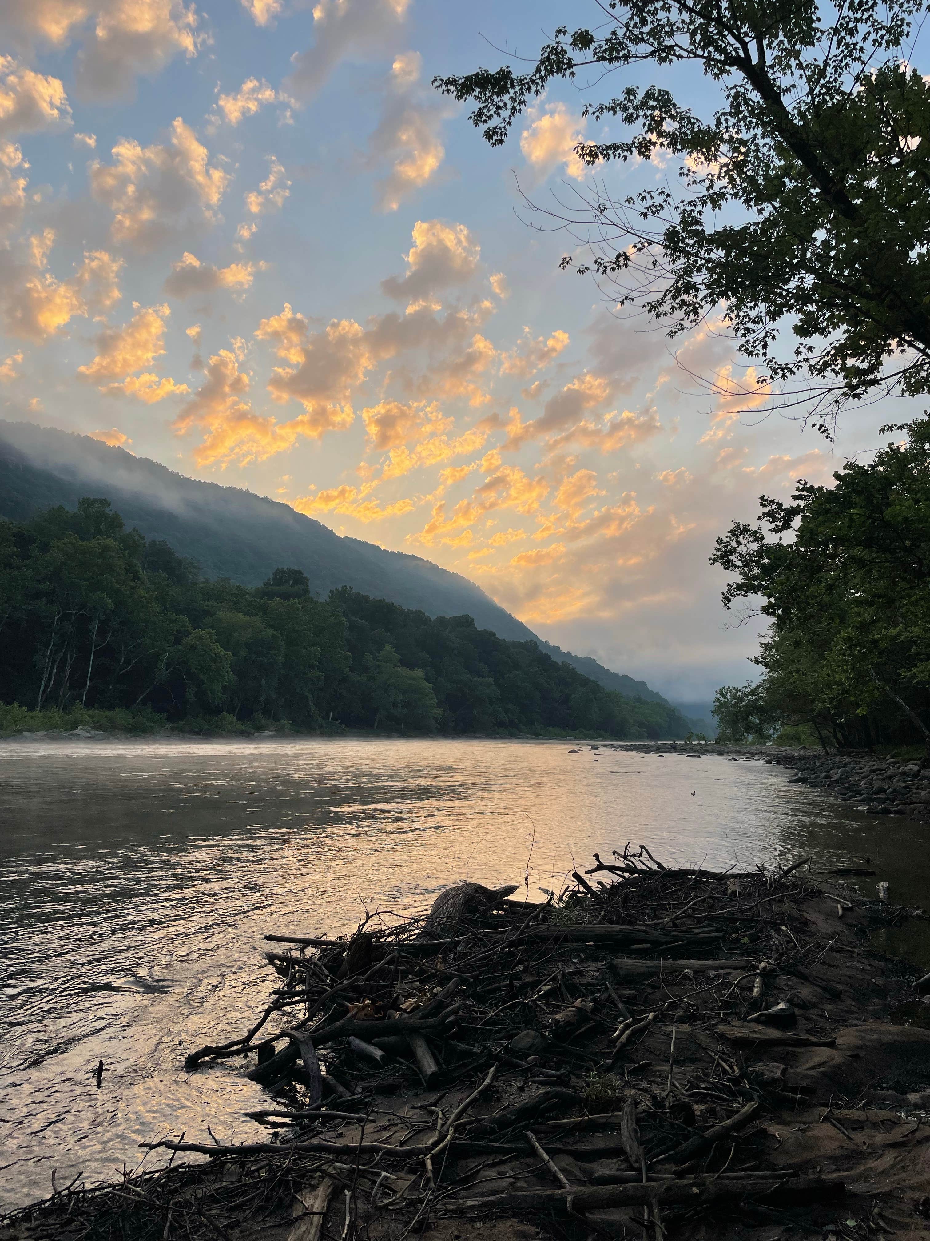Caroline F.'s photo of a dispersed camping area at Army Camp — New River Gorge National Park and Preserve near Charleston, WV