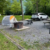 Review photo of Army Camp — New River Gorge National Park and Preserve by Caroline F., June 26, 2022