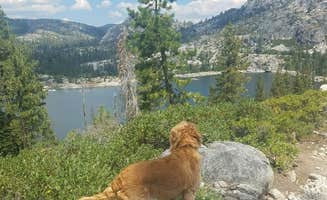 Alisyn G.'s photo of camping with pets at Loon Lake near South Lake Tahoe, CA