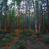 Review photo of Twelvemile Beach Campground — Pictured Rocks National Lakeshore by H. K., June 26, 2022